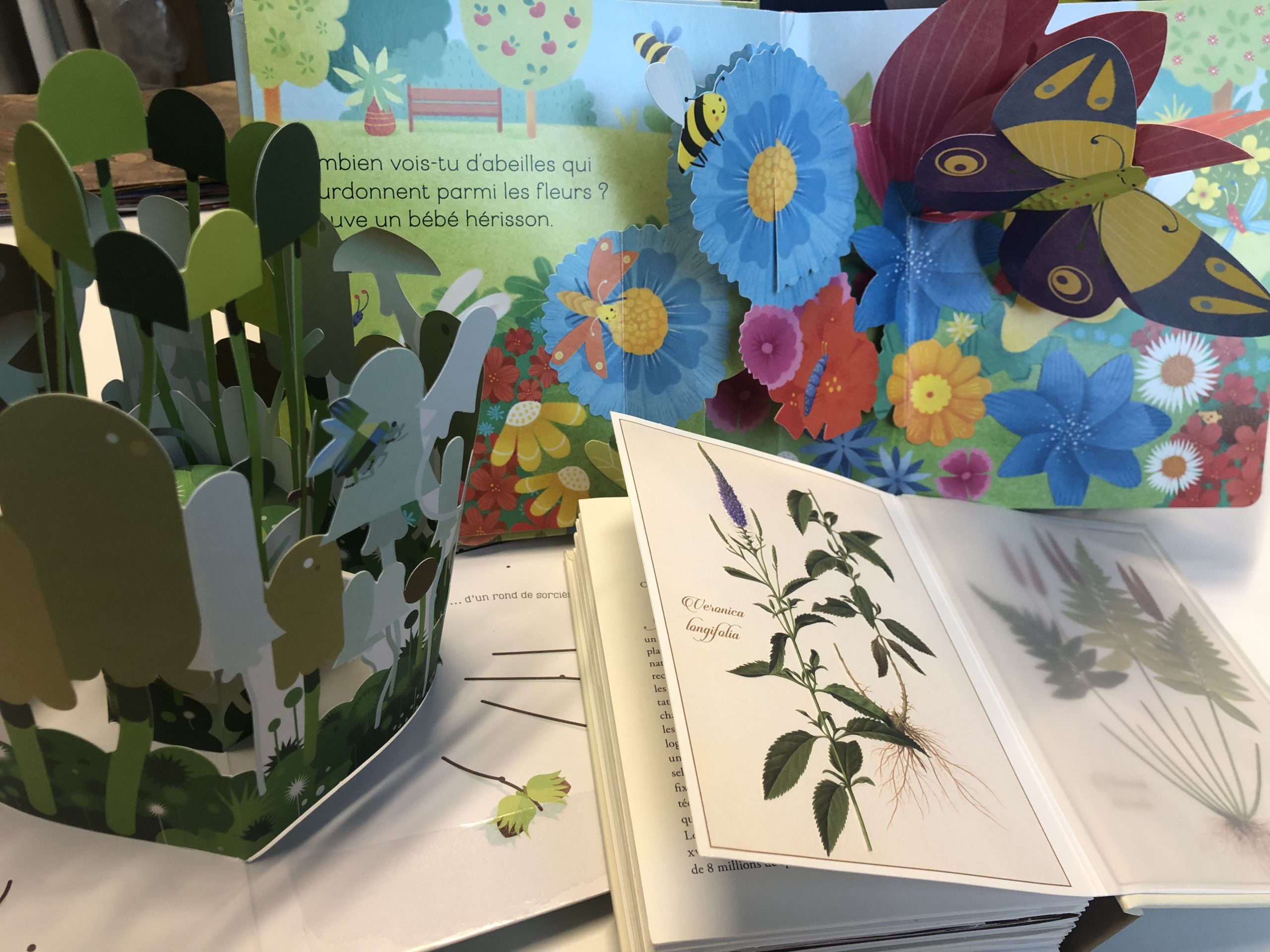 Les petits bibliophiles : « Pop up : Fleurs et jardin »